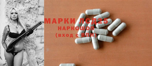 стаф Козловка
