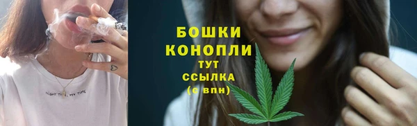 кокс Корсаков