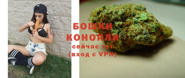 spice Козельск