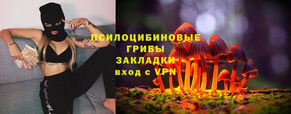 дурь Киреевск