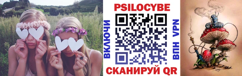 Псилоцибиновые грибы мицелий  Кудымкар 